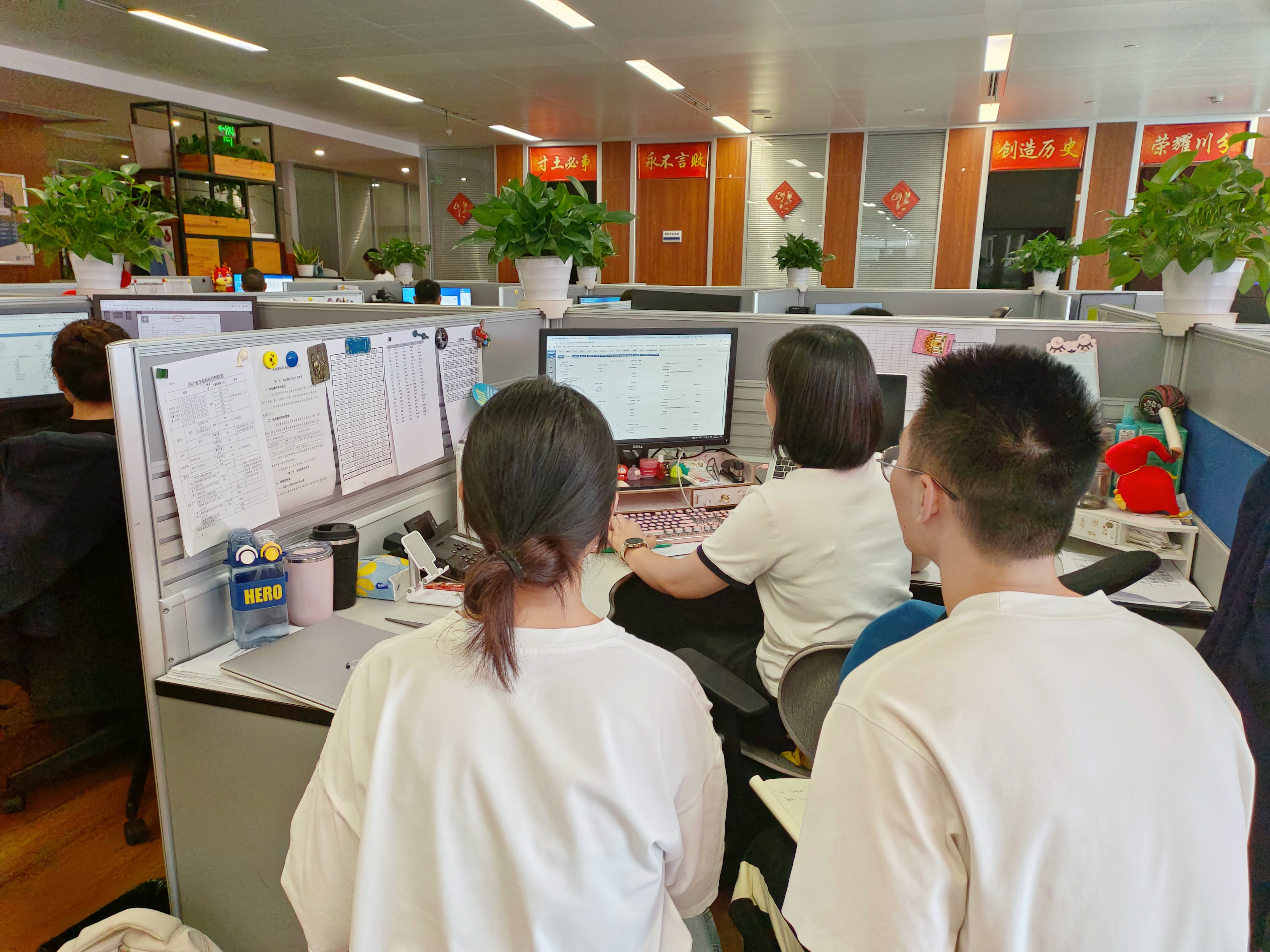 在太平洋财险四川分公司跟岗职业体验.jpg 在太平洋财险四川分公司跟岗职业体验.jpg